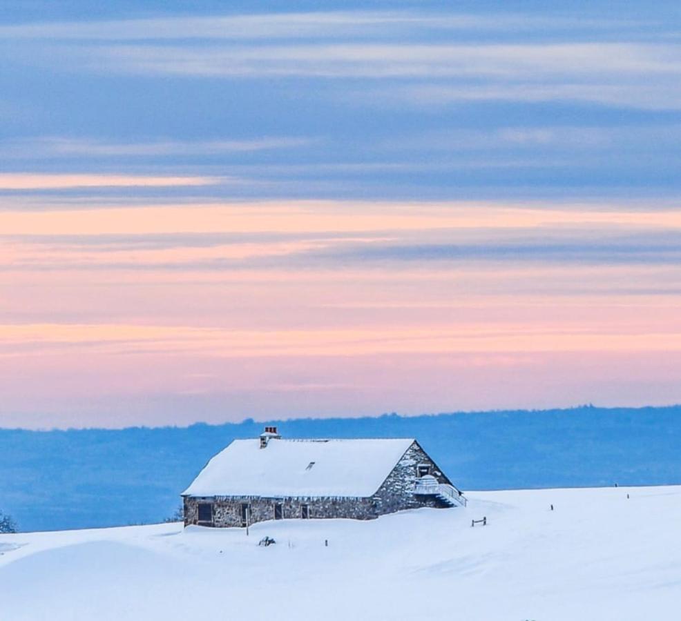 Studio Au Coeur De Laguiole Exteriör bild